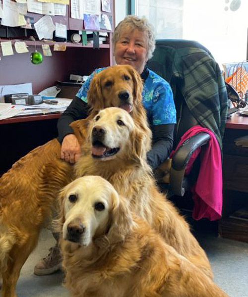 Dr. Trann with 3 retrievers